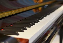 Koncert mladih pijanista 29. avgusta