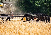 Sutra promocija programa u Rogatici i na Sokocu