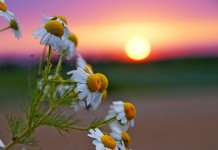 Током дана веома топло, послије подне понегдје киша