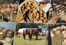 Poziv poljoprivrednicima da izlažu na sajmu 10. i 11. septembra