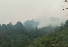 Vjetar rasplamsao požar na Bijeloj gori, vatra blizu kućama