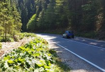 U ponedjeljak privremena obustava saobraćaja na regionalnom putu