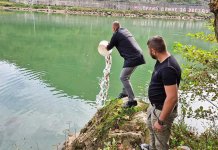 Drina poribljena pastrmkom i šaranom