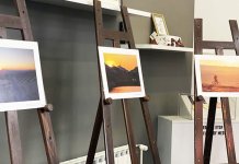 Najbolje fotografije Vladana Jeftovića