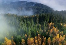 У недјељу стиже јесен