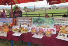 Regionalna poljoprivredna izložba i sajam