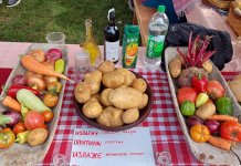 Trkulja: Raduje broj izlagača i izuzetan kvalitet krompira