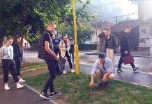 Maturanti uklanjaju ambroziju