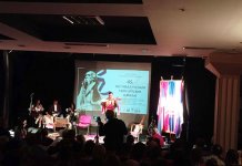 Maksim Vojvodić pobjednik Festivala guslara srpskih zemalja