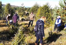 Jesenje pošumljavanje na 27,76 hektara