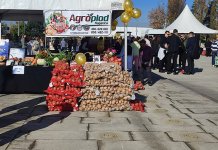 „Dan rogatičkog krompira i romanijskog skorup-kajmaka“