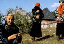 Dobrilina dobra djela