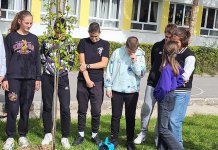 Stabla prijateljstva posađena u dvorištu škola na Palama i u Sarajevu