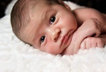 Rođena 21 beba
