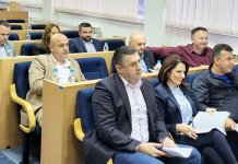 Čubrilović: Parlamentarna stranka i za nivo Srpske i za nivo BiH