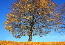 У понедјељак 24 степена, у уторак захлађење