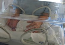 Transportni inkubatori – za bolje preživljavanje kritično ugrožene novorođenčadi