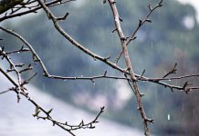 Сутра топлије, од уторка захлађење са снијегом