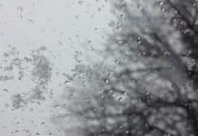 Сутра сусњежица и снијег