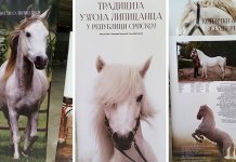 Uzgoj lipicanera na listi Uneska dokaz da Srpska baštini bogatu tradiciju