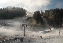 LJevnaić: Poštujemo svaku odluku koju donese Vlada