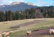 Proljećno vrijeme krajem decembra u okolini Pala