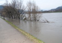 Opadaju vodostaji većih rijeka osim Save