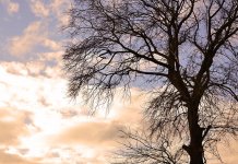 Сутра претежно облачно и топлије