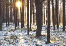 Сутра претежно сунчано