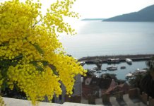 Dodatni letovi iz Beograda, pregovori za letove iz Banjaluke