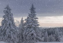 Sutra oblačno sa padavinama