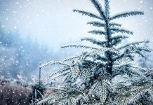 Narednih dana hladnije, od sutra na planinama snijeg