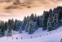 Хладно и облачно, снијег на планинама