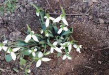 Visibabe najavile novu 2023. godinu