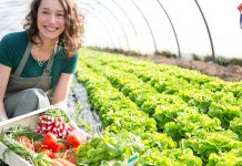 Zimska škola za proizvođače povrća u zaštićenom prostoru