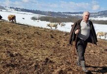 Borovčanin: Podsticaji pomažu razvoj poljoprivrede