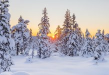 Послије девет година снијег за Нову годину