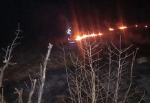 Naredba da se korov ne pali bez najave vatrogasno-spasilačkim jedinicama