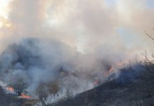 Vatra stavljena pod kontrolu i u Capardama i u Petkovcima