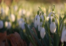 Sutra sunčano i toplije