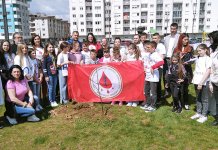 Zasađen crveni hrast posvećen dobrovoljnim davaocima krvi