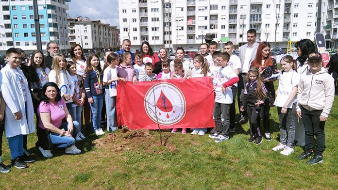 crveni-hrast-davaoci-krvi1