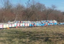 Prihraniti društva i čekati toplije vrijeme