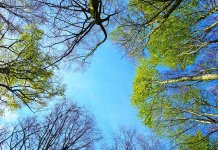 Pretežno sunčano i toplije, na jugu i zapadu kratkotrajni pljuskovi