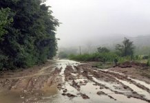 Voda ušla u osam kuća, aktivirana klizišta, službe na terenu