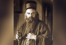 Episkop Fotije: Sveti Vladika Nikolaj – veliki hrast koji štiti Srbe