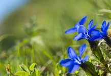 Pretežno sunčano i toplije