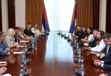 Srpske diplomate zastupaće interese i spoljnopolitičke stavove Srpske