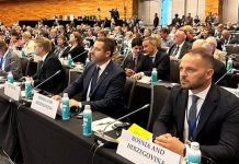 Kovačević: BiH je protektorat, pomozite da se oslobodimo tzv. visokog predstavnika