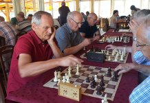 Otvoren šahovski turnir „Drinski kup“